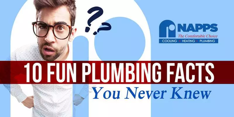 10 Fun Plumbing Facts You Never Knew