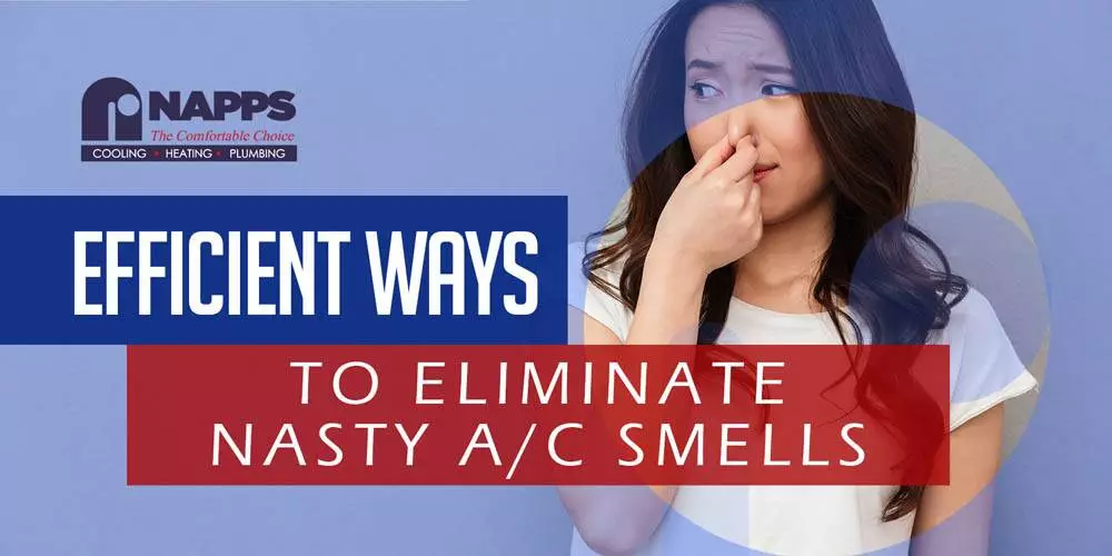 Napps_Efficient Ways To Elimenate Nasty Smells